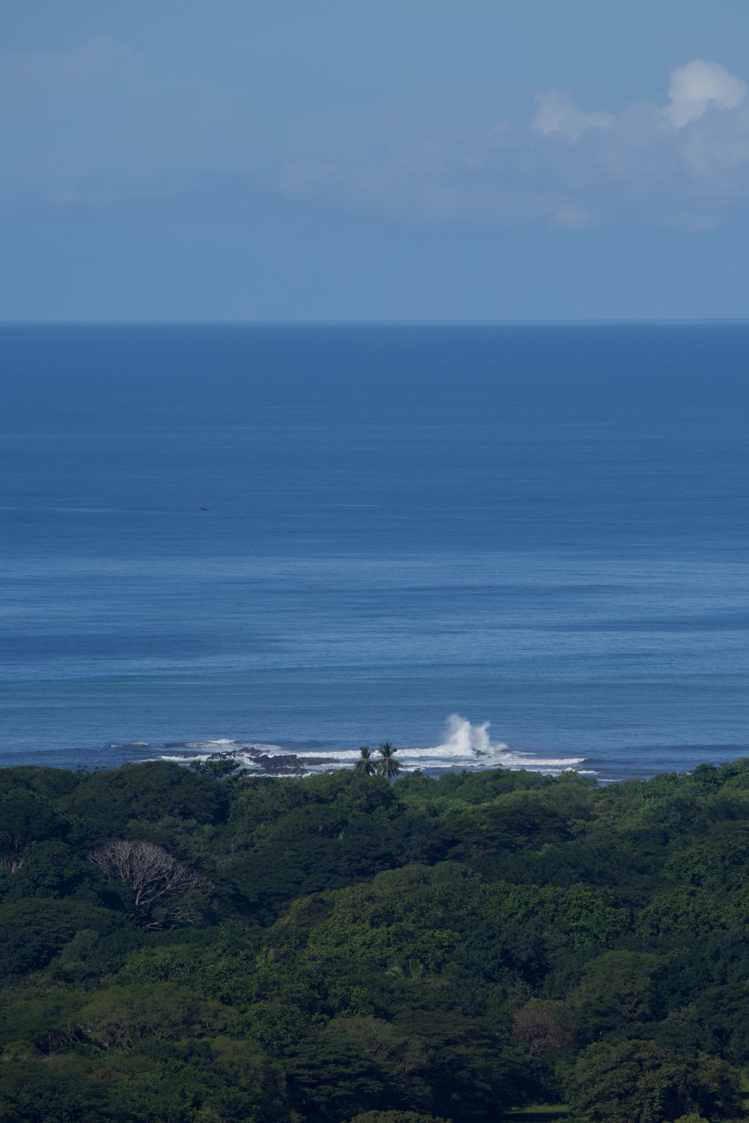 Aerial view of jungle canopy meeting the Pacific Ocean